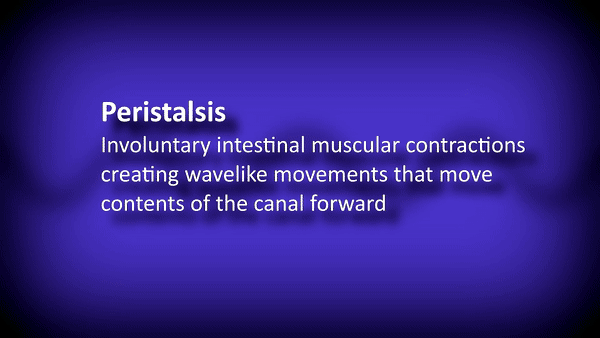 ezgif.com-video-to-gif (1).gif