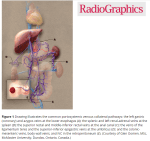 Portal Vein Doppler – Sonographic Tendencies